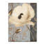 Jadaya «Poppy Brocade II» par Color Bakery, impression sur toile tendue-20094768
