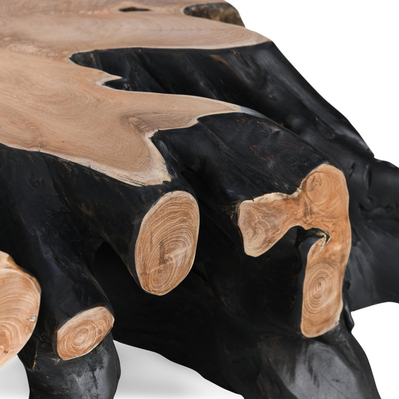 Cypress Root 40" Square Coffee Table Black/Natural