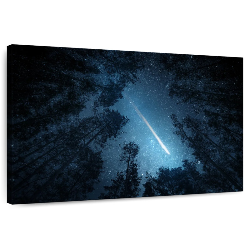 Oberle Comet Over Trees, 24" H x 36" W