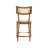 Arlo Cane Back Upholstered Counter Stool-540414345
