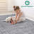 Grey/Oriental Non-Shedding Stain Resistant Area Rug-661465005