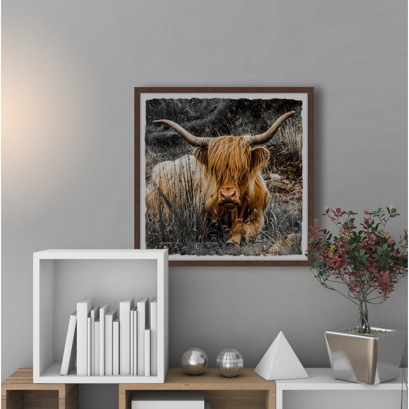Shaggy Hair - Single Picture Frame Print, 30cm H x 30cm W x 3.81cm D