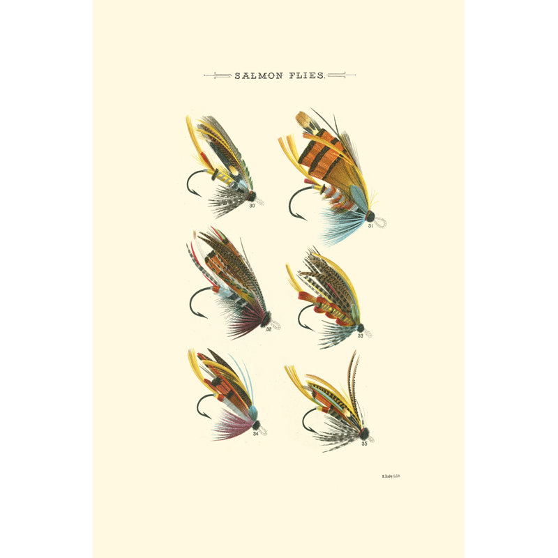 Salmon Flies II by Vision Studio - Wrapped Canvas Art Prints, 46cm H x 30cm W x 3.8cm D