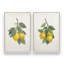«Lemon Harvest», ensemble de 2, reproduction sur toile-1936423978-1936423981