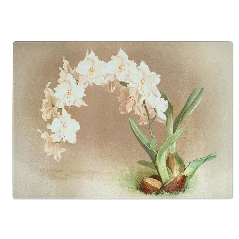 Glass Magnolia Flowers Illustration Tab. I by Frederick Sander Chopping Board, 39 cm W x 28.5 cm L