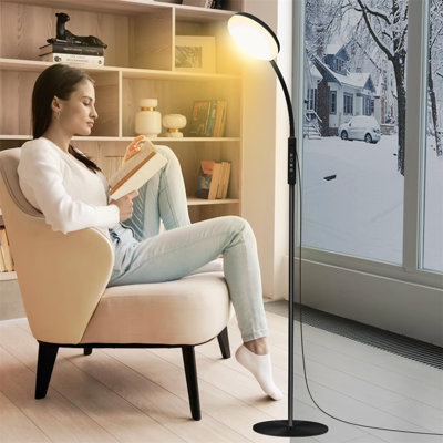 Deljuan 175cm Arched Floor Lamp