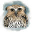 «Greenwood Animals II» par Grace Popp, impression sur toile-29283992-74737970-74737975