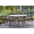 Boyd 6-Person Eucalyptus Bar-Height Patio Dining Set