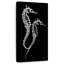 Sea Sea Xray-1727343113