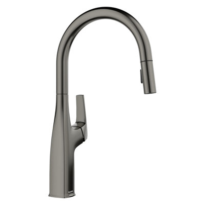 Rivana High-Arc Pull-Down Dual-Spray Kitchen Faucet