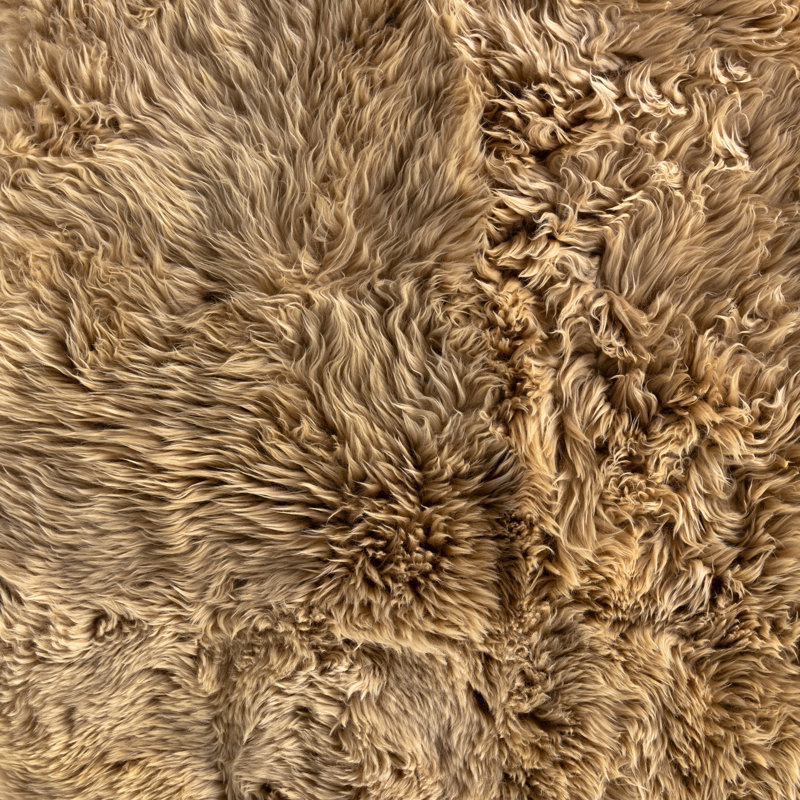 Lalo Sheepskin Area Rug in Cream, Novelty 3'3 x 5'10"