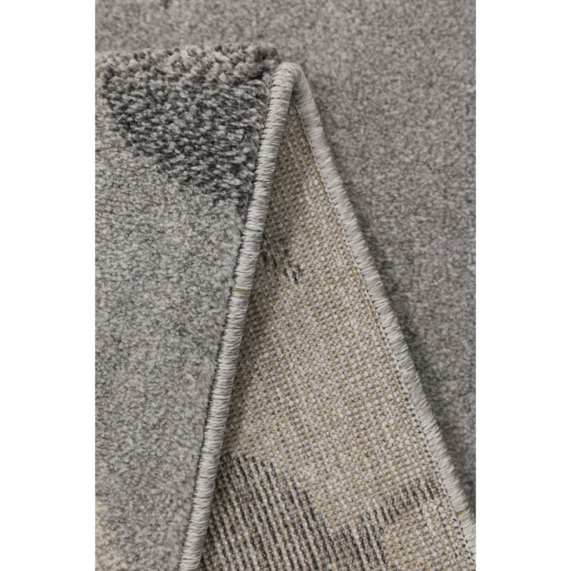 Takaiyah Oriental Area Rug, Rectangle 120 x 170cm