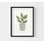 «Herb Garden III» par Courtney Prahl, décor de maison botanique minimaliste, plante, reproduction d'art, feuille, reproduction d'art, plante dans un vase