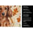 Longhaired Red Dachshund Heirloom Fall Kitchen Towel-1218231290