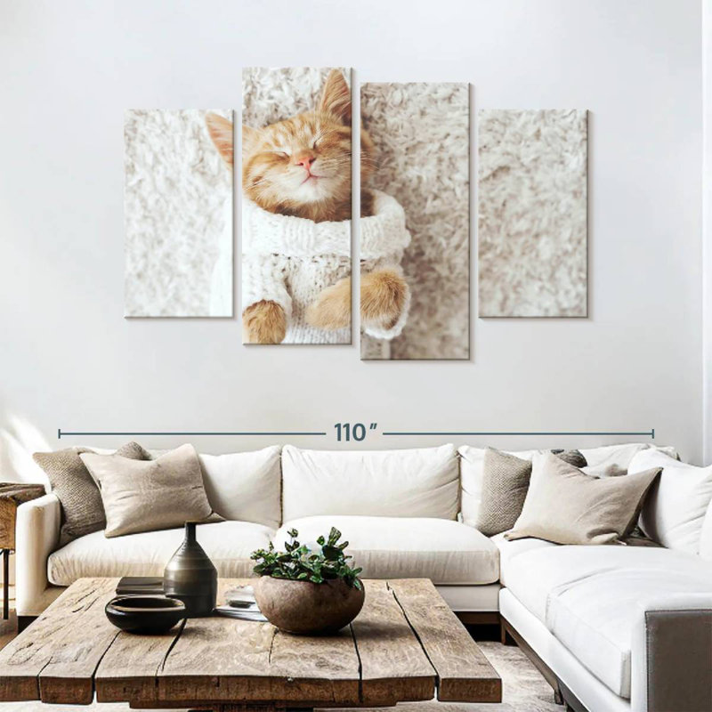 Chat Brampt dans un chandail, H 54 po x l 84 po