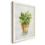 «Succulent I», reproduction sur toile-88451752-88451753