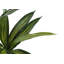 Plante en faux ciment 51,25 po Mcginnis