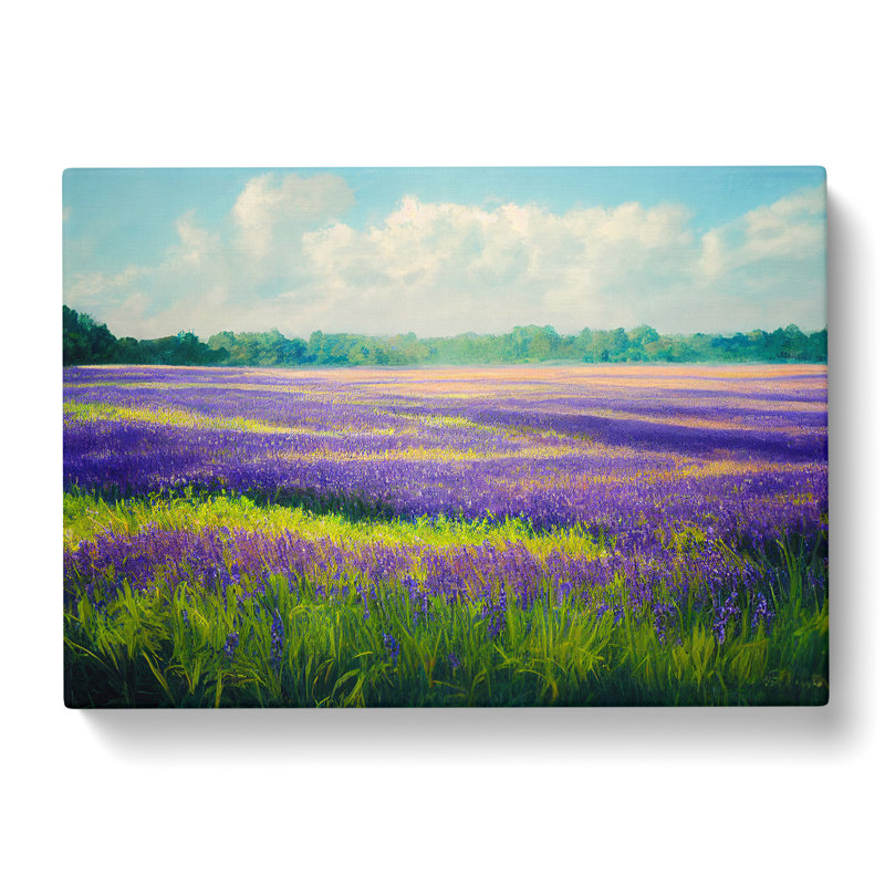 Gentle Bluebell Field - Wrapped Canvas, 35cm H x 50cm W x 3cm D