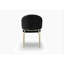 Modern Style 2PC Chairs made with Velvet fabric and Gold coated metal  Legs - Black-1482636991