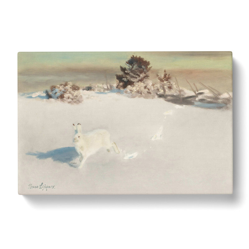 White Hare Vol.5 by Bruno Liljefors - Wrapped Canvas Painting, 50cm H x 76cm W x 3cm D
