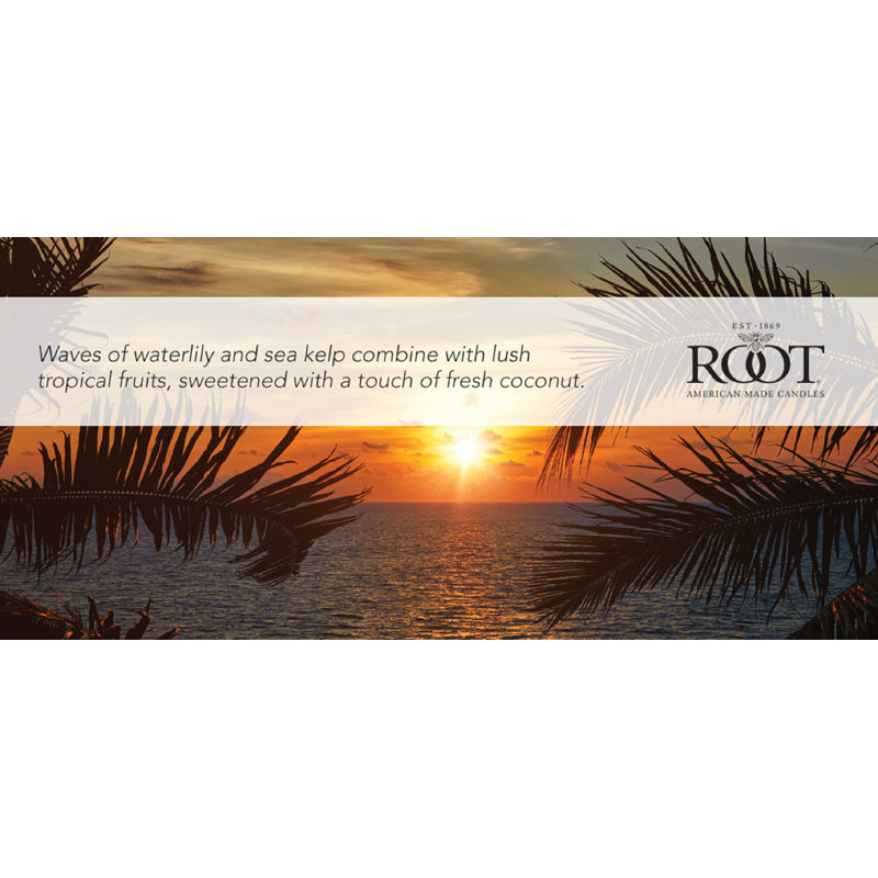 Bougie parfumée Coastal Sunrise, H 4,4 po x l 3,7 po x P 3,7 po