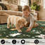 Tapis lavable à la machine Whimsical-133488908-133488909
