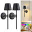 Ensemble de 2 appliques murales à piles avec télécommande - couleurs RVB, intensité variable, minuterie