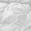 Puredown Selected All Season Organic Cotton Down Feather Fibre Comforter-87748959-117431849