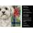White Lhasa Apso Christmas PoinsettIas Kitchen Towel-2080584005