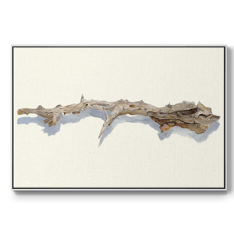 «Driftwood Study I», reproduction d'art sur toile, Blanc, H 27 po x l 41 po x P 2 po