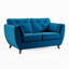 Birjesh 2 Seater Sofa-201745532-201745533