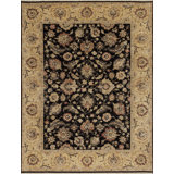Sovereign Hand Knotted Wool Area Rug in Black/Ivory