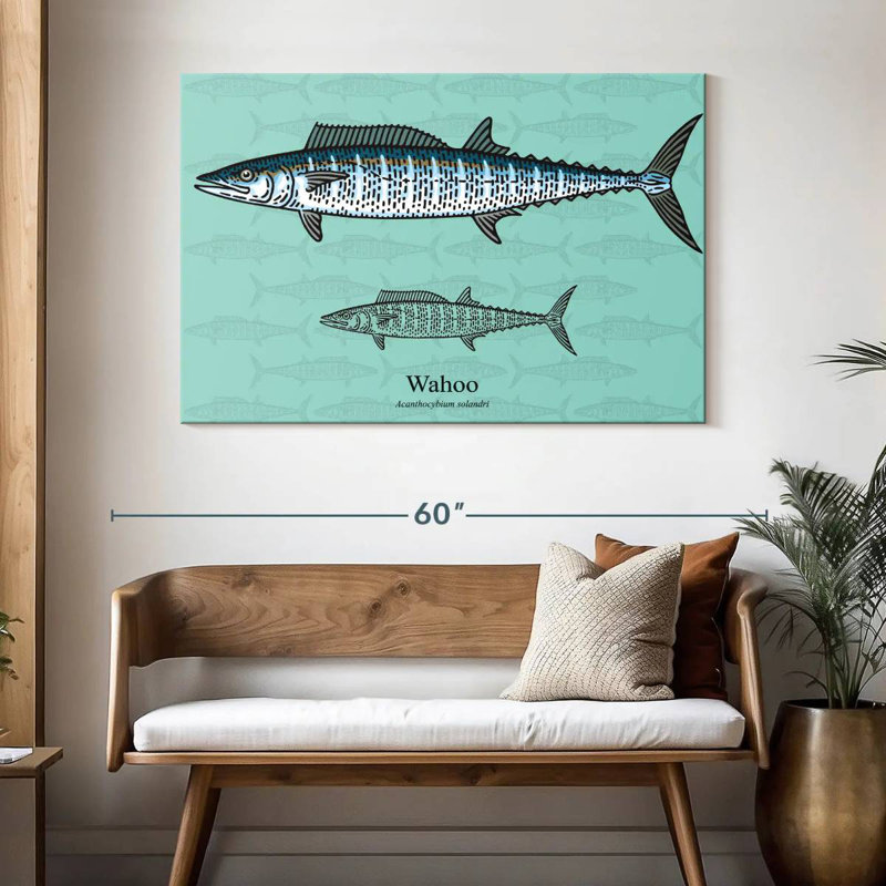 Brampt Wahoo Fish, 32" H x 48" W