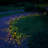 Solar Powered Garden and Tabletop Lights - 4 Count
