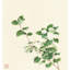 Jasmine Blossoms by Xiu Yitang - Single Picture Frame Print-671127204
