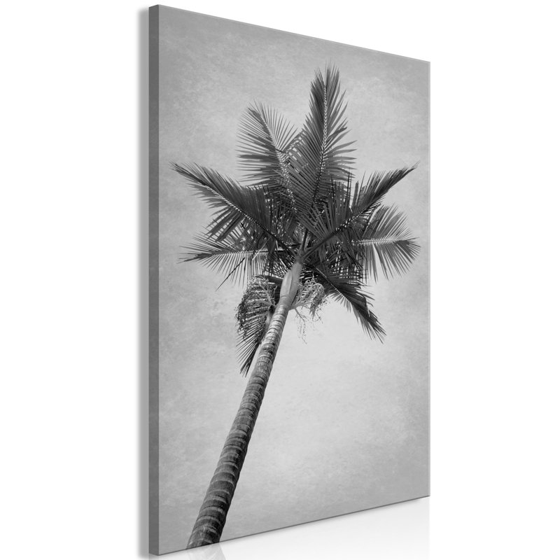 No Frame Print on Canvas, 40cm H x 60cm W