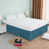 sarcelle est en rupture de stock