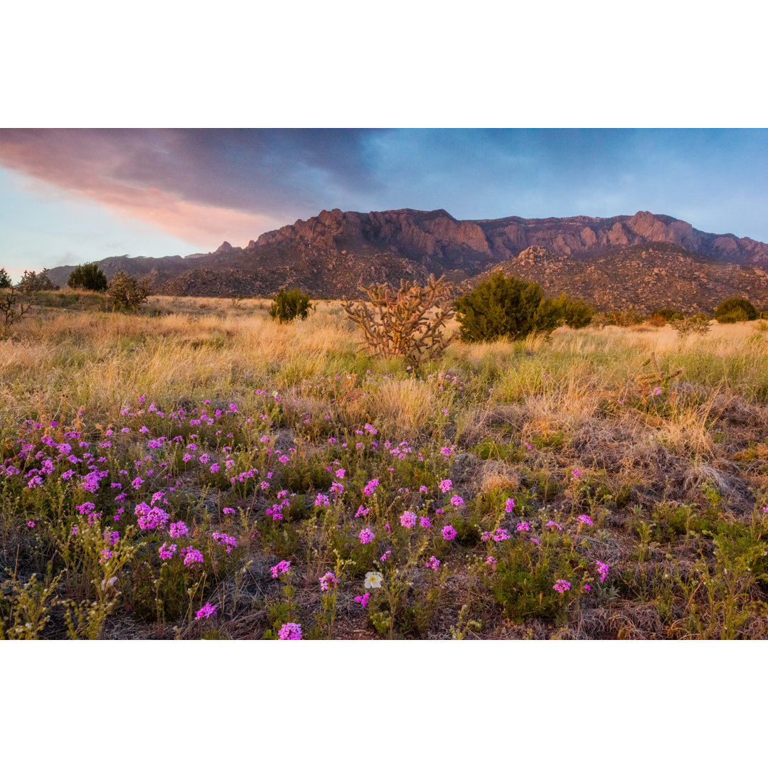 Natur Landschaft Sonnenuntergang