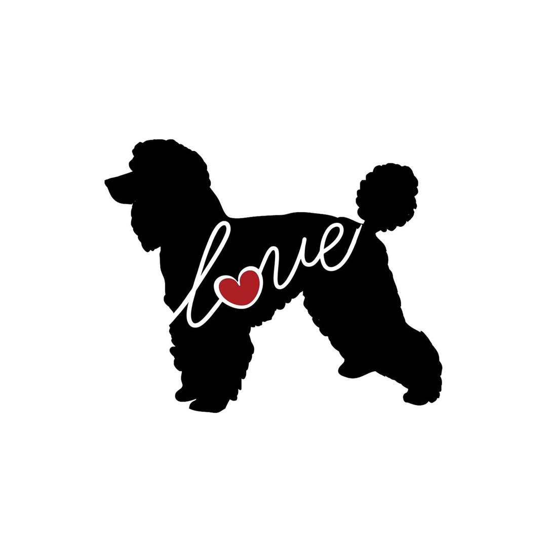 Standard Poodle by Traci Anderson - Gallery-Wrapped Canvas Giclée on Canvas