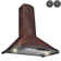 30-in 343-CFM Convertible Vine Embossed Copper Wall-Mounted Range Hood with Carbon Filters