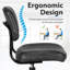 Borough Wharf Chernev Mesh Office Chair
