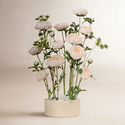Ranunculus Stems