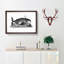 Great Whale in Black and White by George Shaw - Picture Frame Drawing Print-55575478-55575482