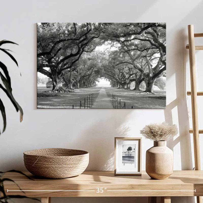Chemin de brique à travers l'allée de chênes BW I, H 16 po x l 24 po