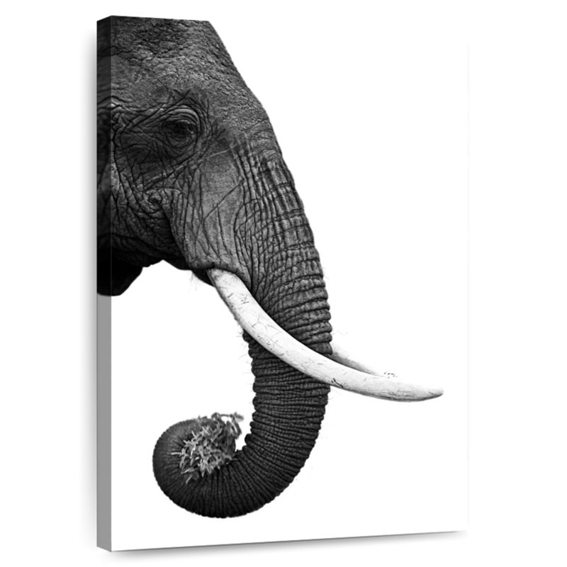 Bramp Elephant Tusk, H 48 po x l 32 po