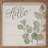 Hello Eucalyptus White-427408414