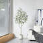 Adagio faux ficus avec pot de fleurs ovale blanc-281288361