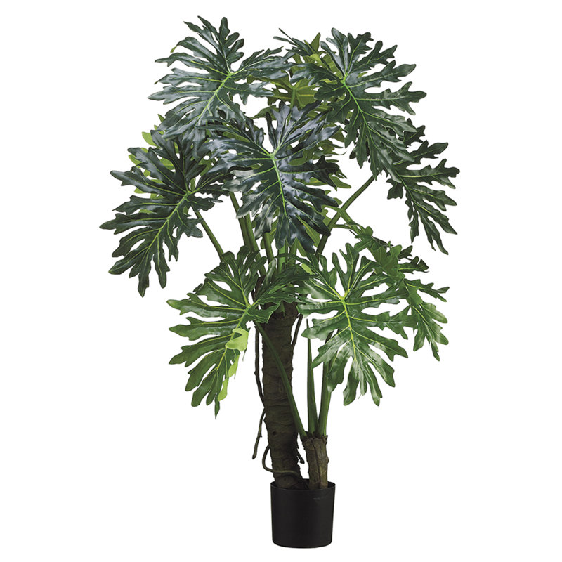 Plante à feuilles fendues 5 pi EVA - vert
