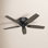 Bennett 52" Ceiling Fan with LED Light Kit