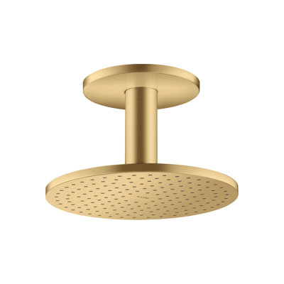 ShowerSolutions Showerhead 250 2-Jet Ceiling Connection